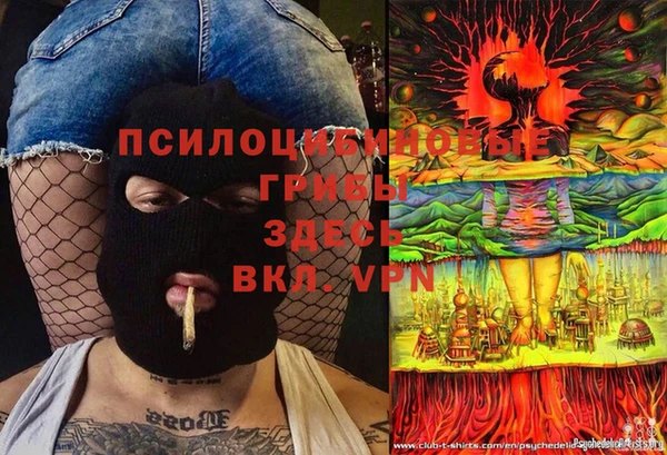spice Алексеевка