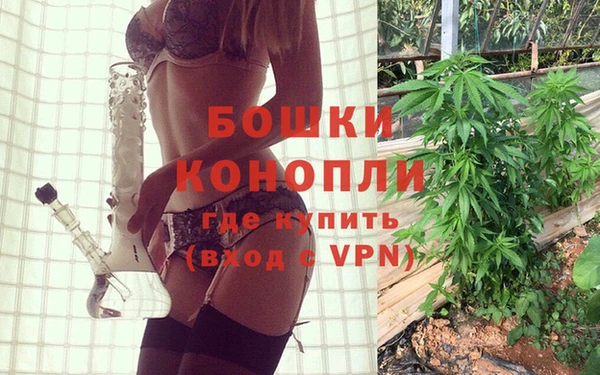 spice Алексеевка