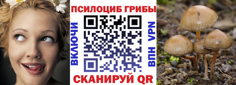 где купить   Ветлуга  МЕГА   Галлюциногенные грибы мухоморы 